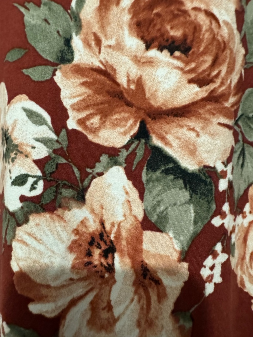 Floral V-Neck Swing Dress in Rust with Cream Roses sz 1x - Picture 3 of 3